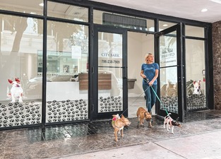 City Bark Miami