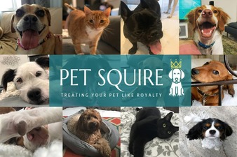 Pet Squire