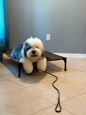 Wolff's Kennel Inc.