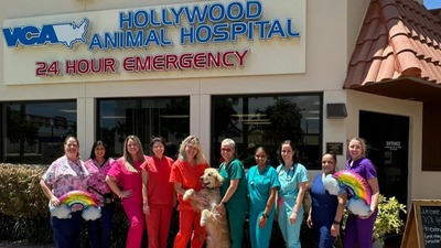 VCA Hollywood Animal Hospital