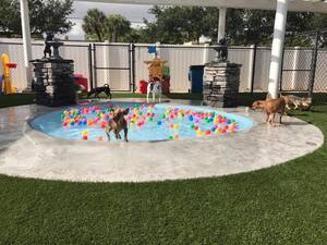 Arfington Pet Resort