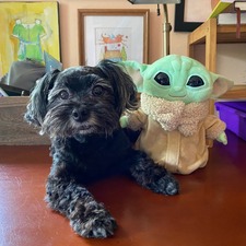Friends of Peanut