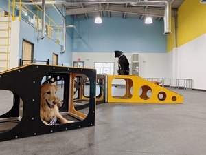 Tally Wags, LLC