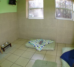 Divine Dog Hotel