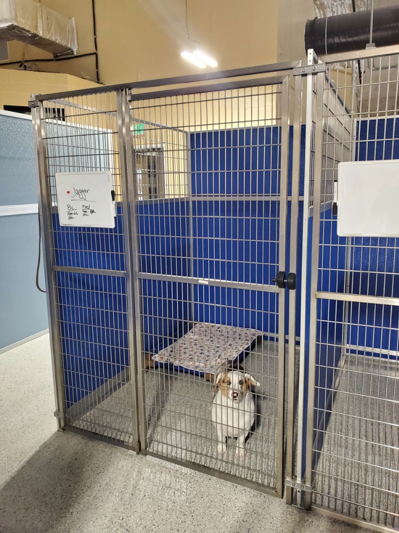 room type image