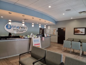 BluePearl Pet Hospital - Brandon