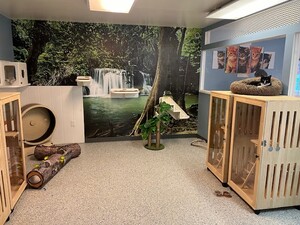 My Buddies Pet Care