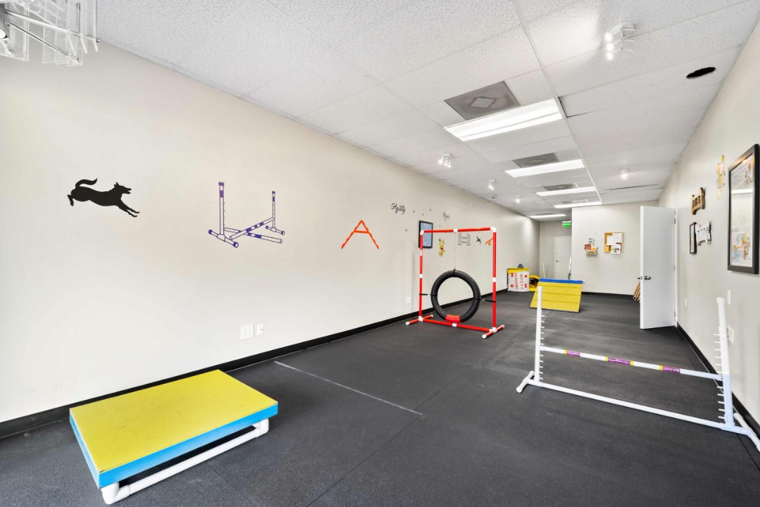 room type image