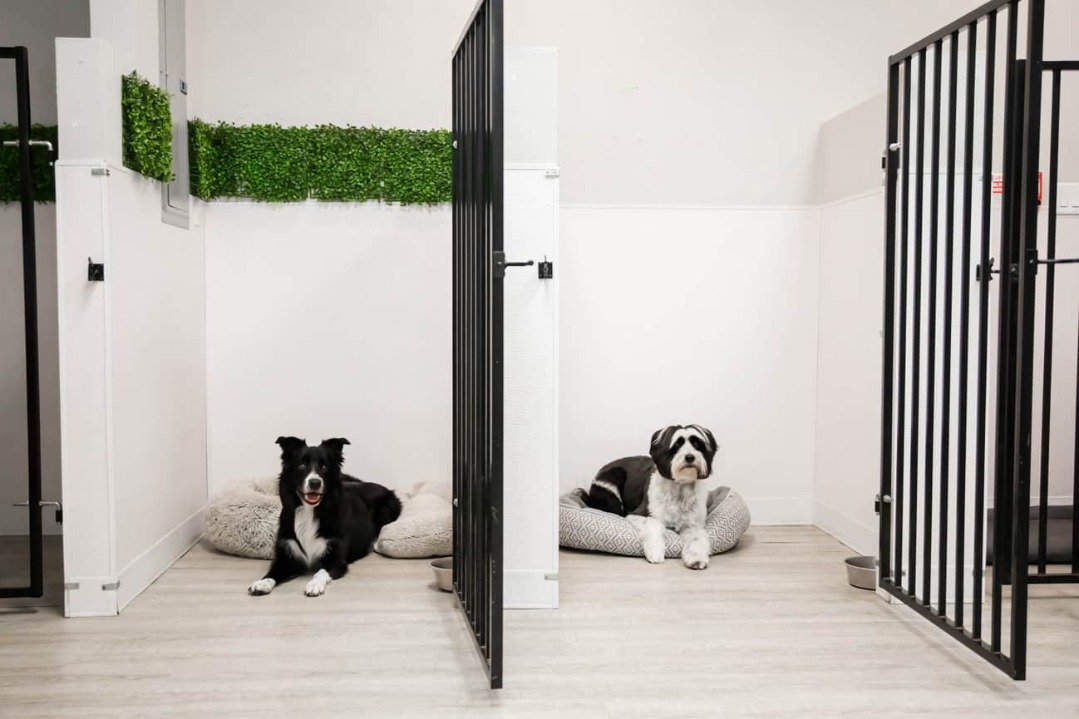 room type image
