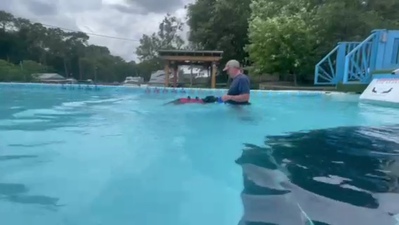 Ocala Dog Ranch