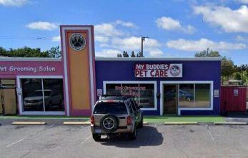 My Buddies Pet Care