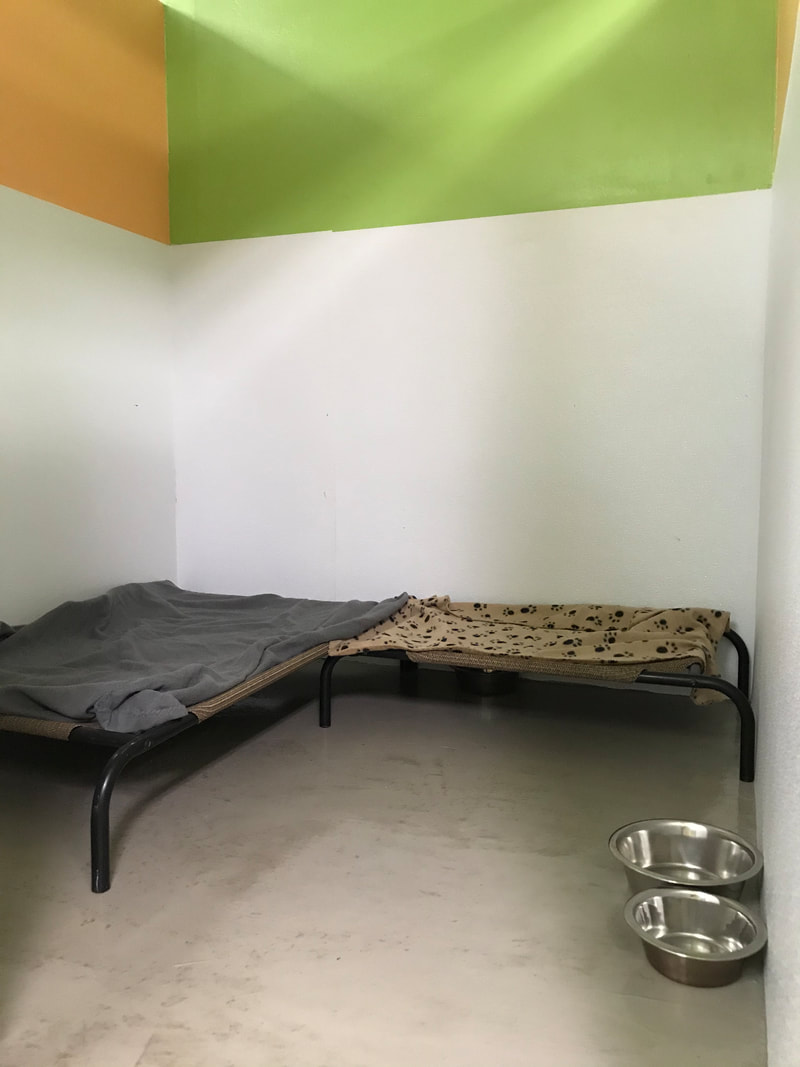 room type image