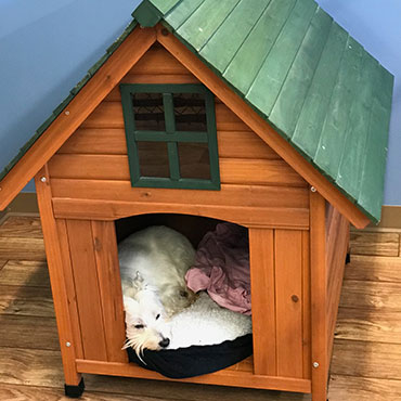 room type image