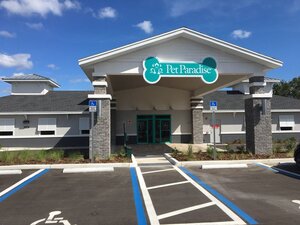 Pet Paradise Wesley Chapel